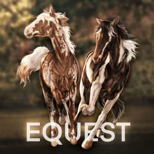 Visuel de l'expérience LCS: EQuest