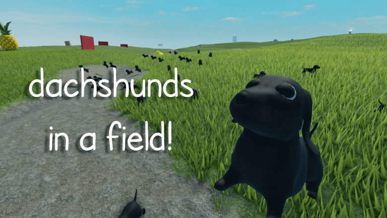 Visuel de l'expérience dachshunds in a field