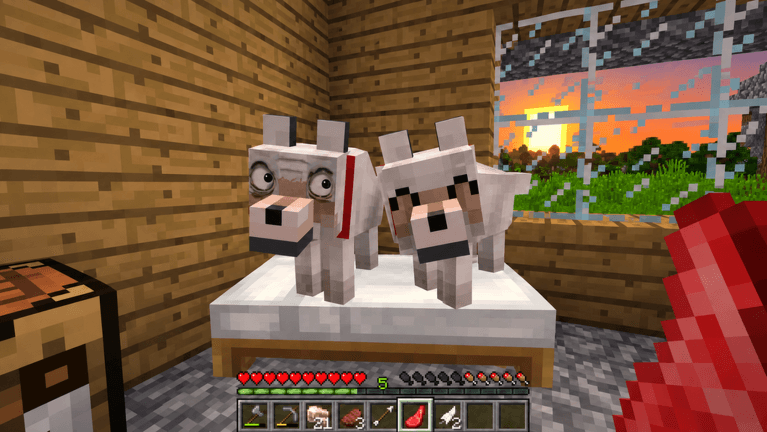 Visuel de l'expérience Something is Wrong With My Dog...